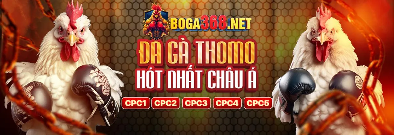 Các hình thức đá gà phổ biến tại 456win